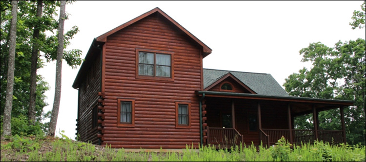 Professional Log Home Borate Application  Roanoke City, Virginia
